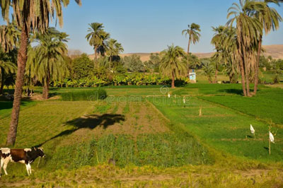 egipto