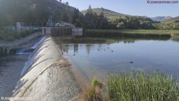 presa3