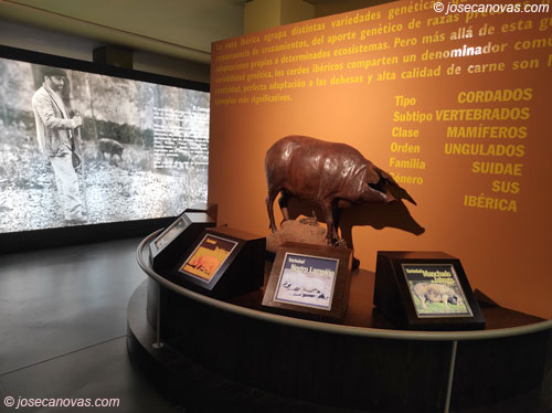 museo2