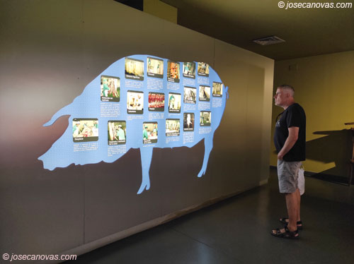 museo3