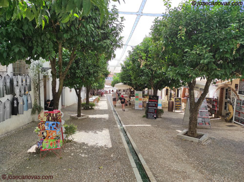 pozo2