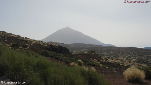 caramujo