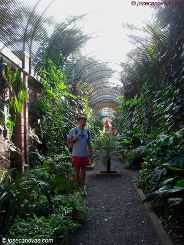 botanico3