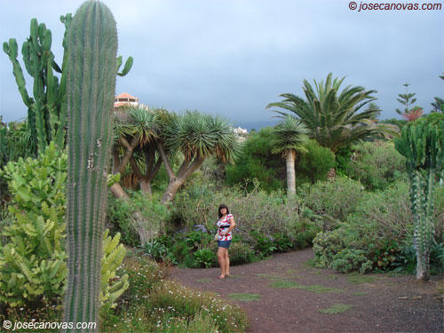 jardin
