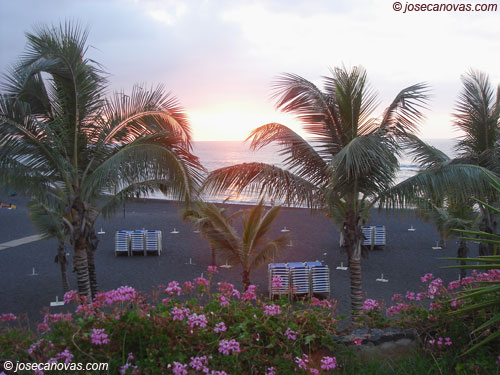 jardin2