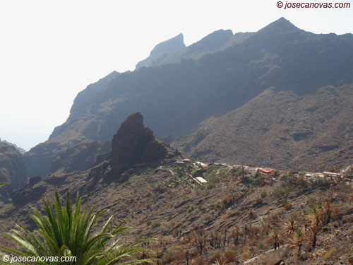 masca