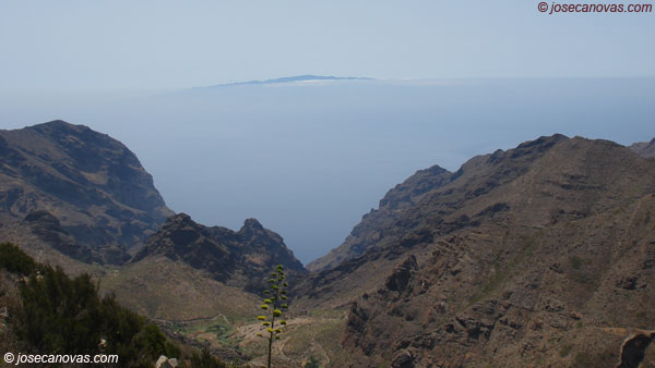 palmar