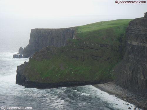 moher3