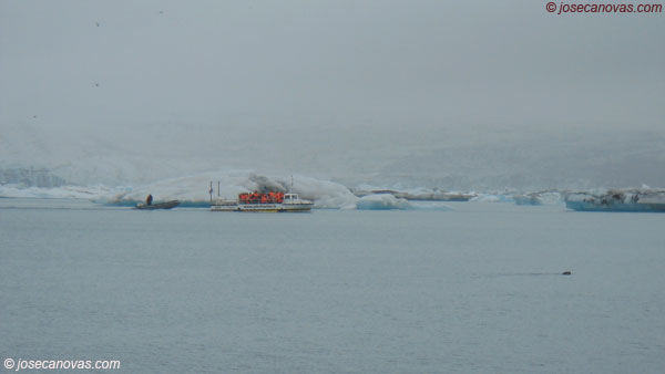 barcos2