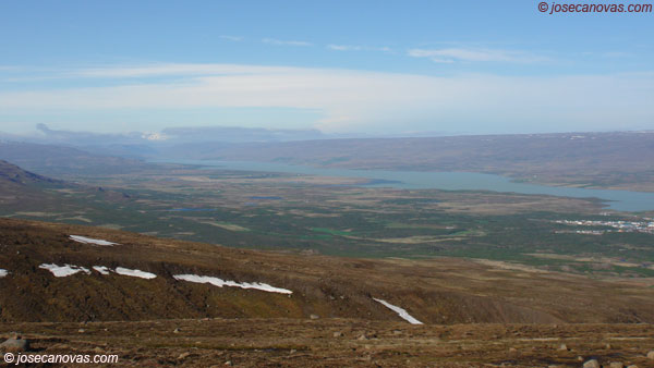 logurin