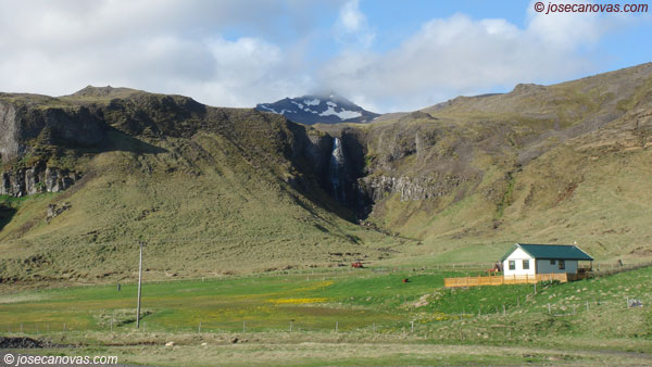 bugsfoss