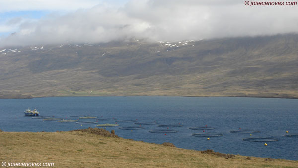 beru3