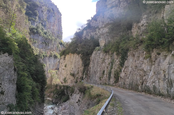 foz