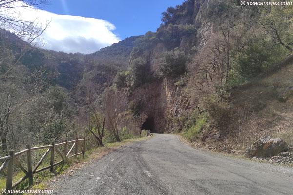 tunel