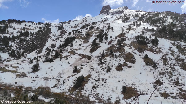 pano
