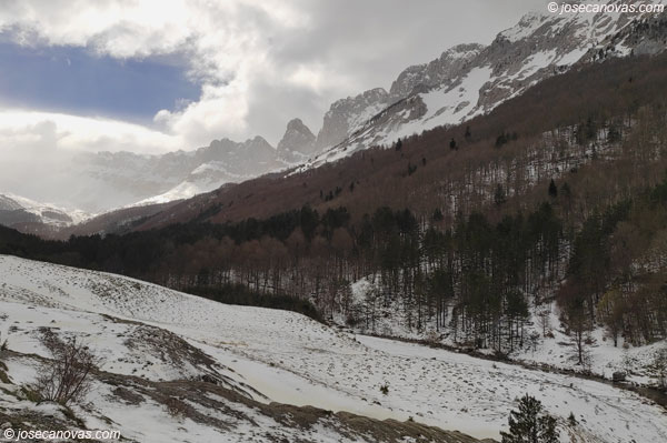 alano