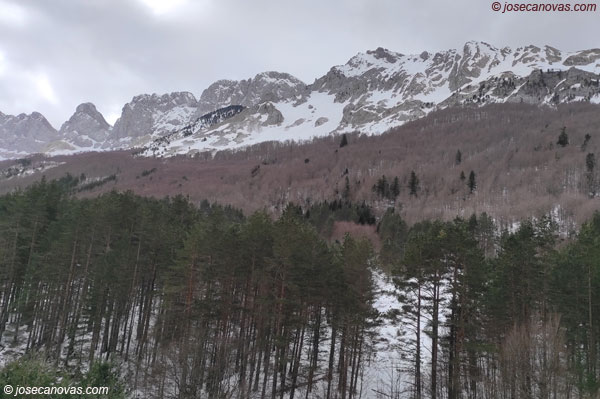 alano2